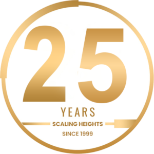 professional-elevators-25-years-scaling